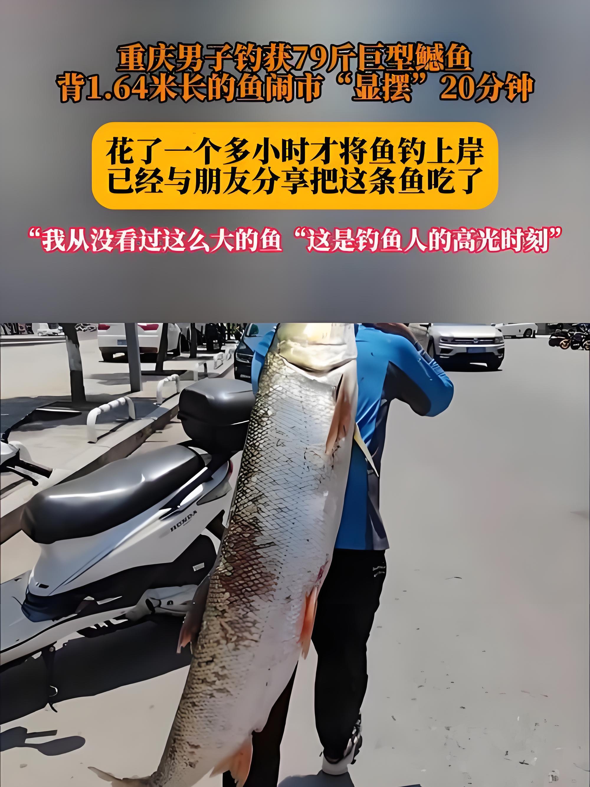 髻lT钓S鶅齣嵚?YfA珨Mi?鮋嵆﹃a?鳲zW?的简单介绍